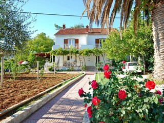 Apartment Sutivan Outdoor Recording 1