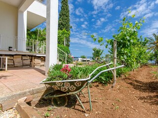 Apartment Sutivan Features 27