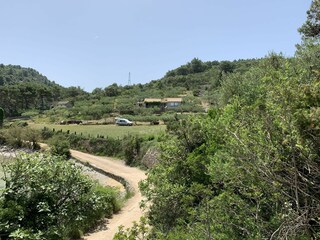 Ferienhaus Postira Außenaufnahme 5