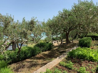 Ferienhaus Postira Ausstattung 34