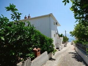 Apartments Vinka - Okrug Donji - image1