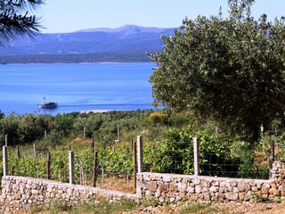Holiday house Bol Environment 24