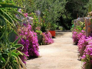 Holiday house Zastražišće Features 17