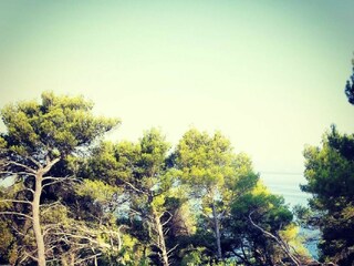 Ferienhaus Postira Außenaufnahme 2