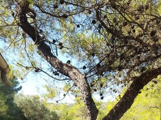 Ferienhaus Postira Ausstattung 14