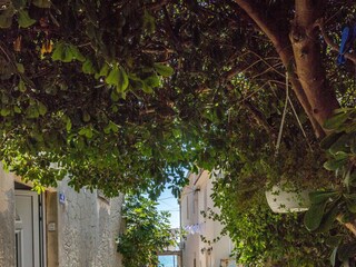 Holiday house Kaštel Stari Outdoor Recording 2