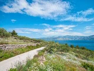 Holiday house Postira Environment 13