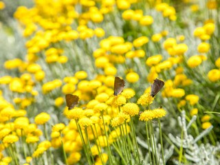 Apartment Brna Features 4