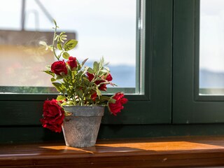 Apartment Zivogosce Features 18