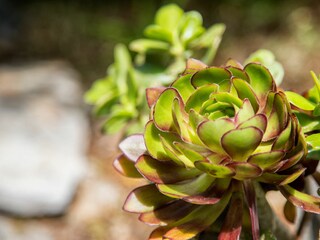 Apartment Prigradica Ausstattung 18