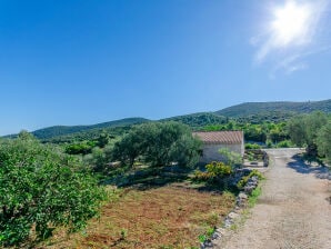 Holiday house House Petar - Račišće - image1