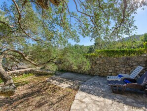 Ferienhaus House Petar - Račišće - image1