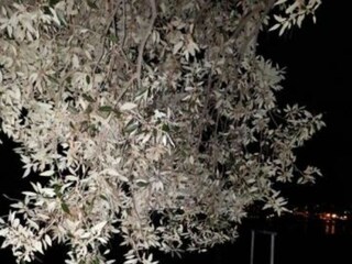 Apartment Brna Umgebung 15