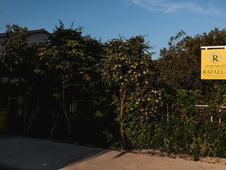 Apartment Orebic Outdoor Recording 2
