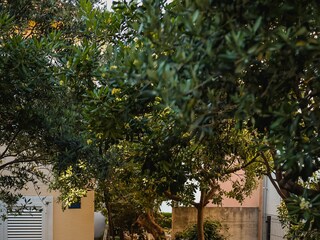 Apartment Orebic Outdoor Recording 4
