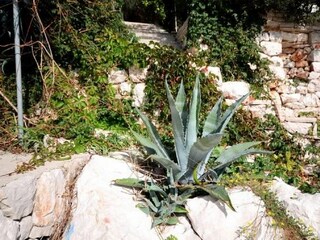 Apartment Prizba Außenaufnahme 2