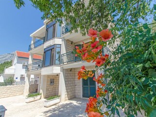 Apartment Orebic Outdoor Recording 2