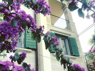 Holiday house Mirca Features 55