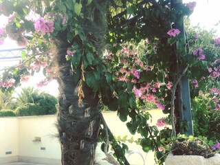 Holiday house Mirca Outdoor Recording 5