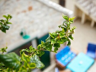 Ferienhaus Mirca Ausstattung 16