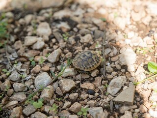 Apartment Makarska Environment 27