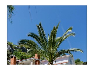 Holiday house Stomorska Features 14