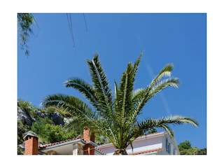 Ferienhaus Stomorska Ausstattung 12