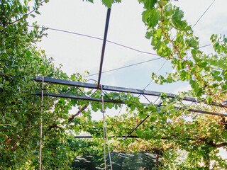 Ferienhaus Vrsine Ausstattung 21