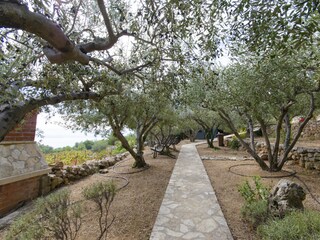 Holiday house Bol Features 15