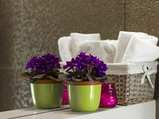Ferienhaus Vinisce Ausstattung 14