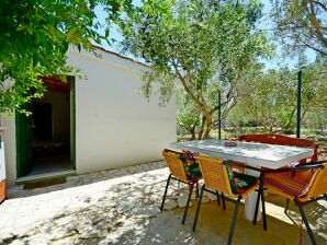 Holiday house House Mislav - Drvenik Mali - image1