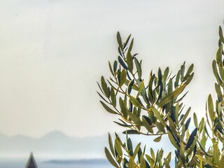 Ferienhaus Zivogosce Umgebung 31