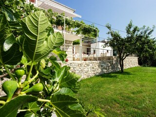 Holiday house Donje Sitno Features 4