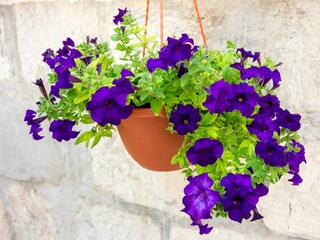 Holiday house Donje Sitno Features 17