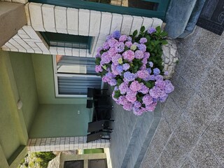 Holiday house Grebastica Features 18