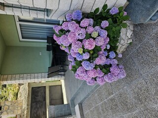 Ferienhaus Grebastica Ausstattung 42