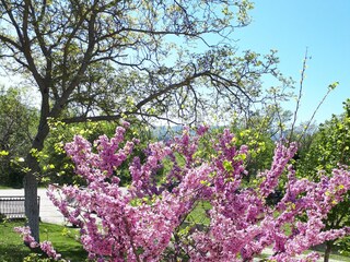 Ferienhaus Hrvace Ausstattung 27
