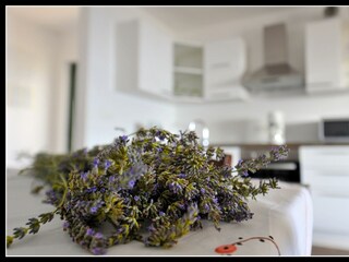 Apartment Okrug Donji Ausstattung 15