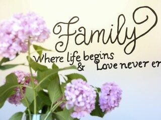 Holiday house Sestanovac Floor Plan 56