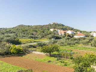 Apartment Tkon Environment 16