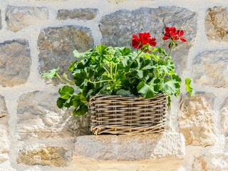 Holiday house Privlaka Features 18