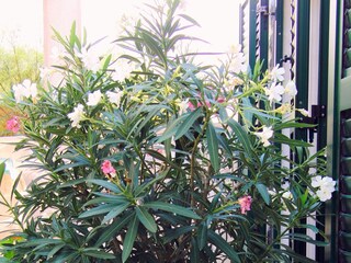 Apartment Povlja Features 23
