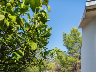 Holiday house Pasadur Features 38