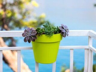 Holiday house Pasadur Features 41