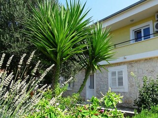 Ferienhaus Seget Donji Ausstattung 11