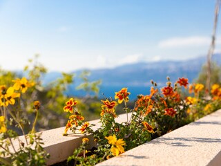 Holiday house Postira Outdoor Recording 8