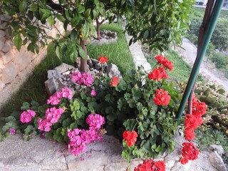 Apartment Postira Ausstattung 30