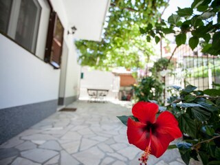 Apartment Duće Features 14