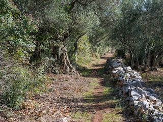 Ferienhaus Dobropoljana Außenaufnahme 2