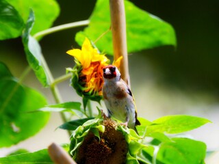 Ferienhaus Gata Ausstattung 26